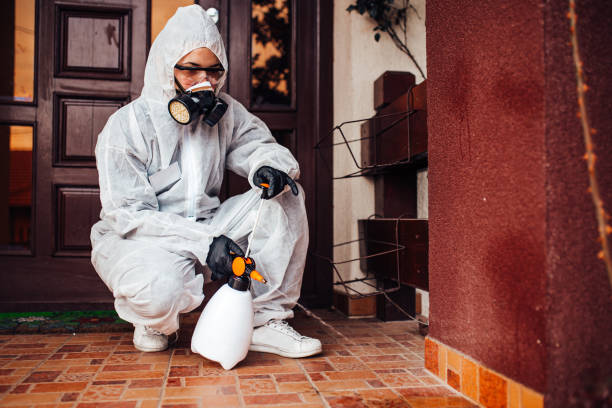 Attic and Crawl Space Rodent Treatment in Glen Lyon
