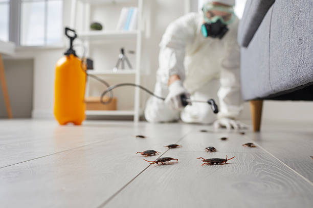 Commercial Rodent Management in Glen Lyon